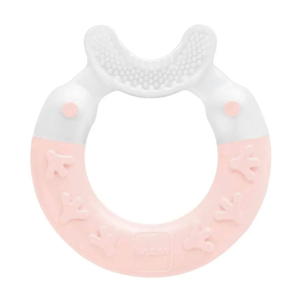 Anneau de dentition nettoyant coloris aléatoire