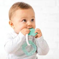Anneau de dentition réfrigérant ours vert