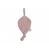Attache sucette feuille wild rose