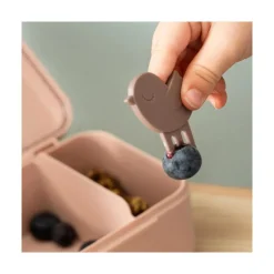 Boîte à goûter avec piques snack tiny farm rose