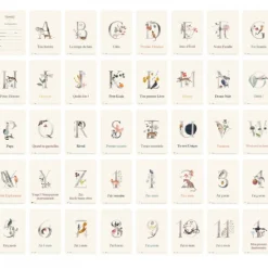 Cartes étapes bébé ma première année collection luxe abc