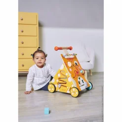 Chariot de marche multi-activités chat