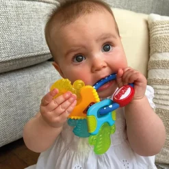 Clés de dentition réfrigérante