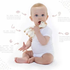 Coffret so'pure sophie la girafe + chewing rubber