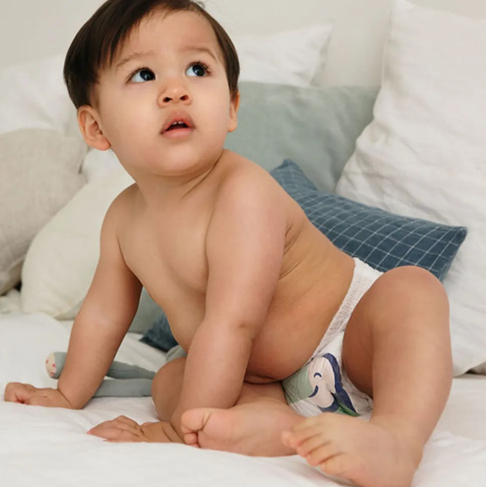 Couches culottes bébé taille 4