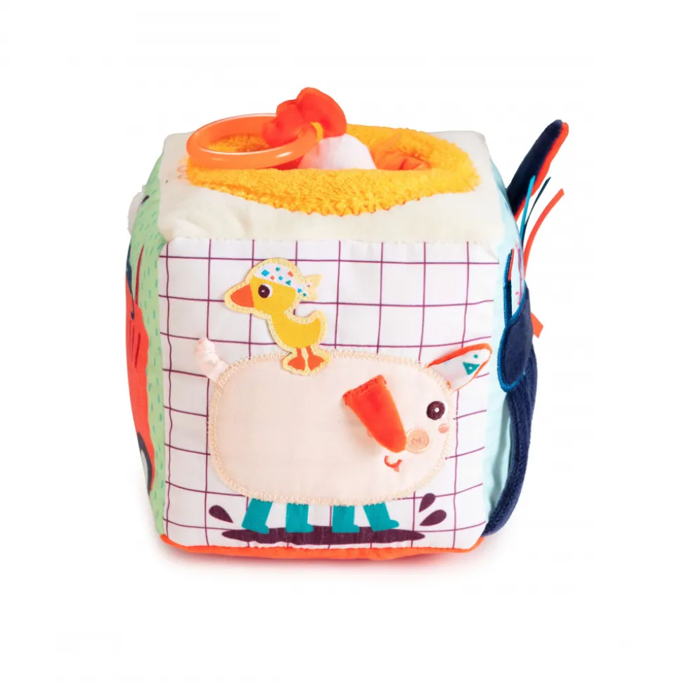Cube d'activités ferme