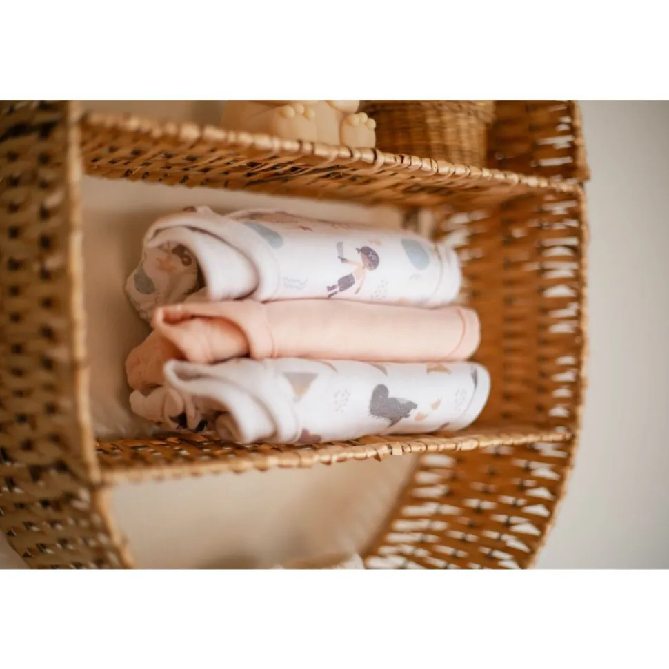 Culotte d'apprentissage 24-36 mois - blush & blossom / dinosaure