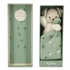 Doudou carré douceur plat chien vert