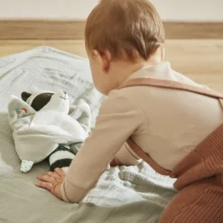 Doudou carré raton laveur gaston