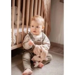 Doudou plat libellule marron