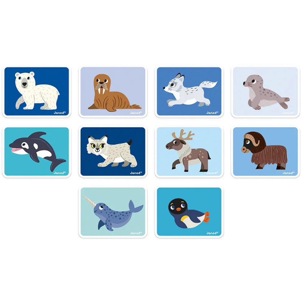 Jeu magnéti'book animaux polaires