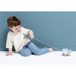 Jouet bébé à tirer en bois - mr. shark