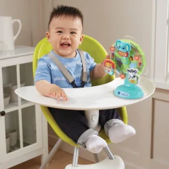 Jouet d'activité la grande roue des baby loulous