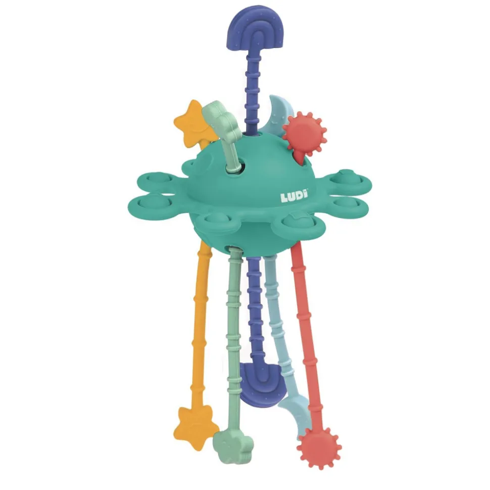 Jouet d'éveil d'activités zippy toy