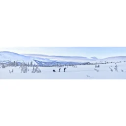 Kit ski pour remorque chariot - génération 1 et 2
