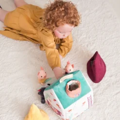 La maison du loup et des 3 petits cochons
