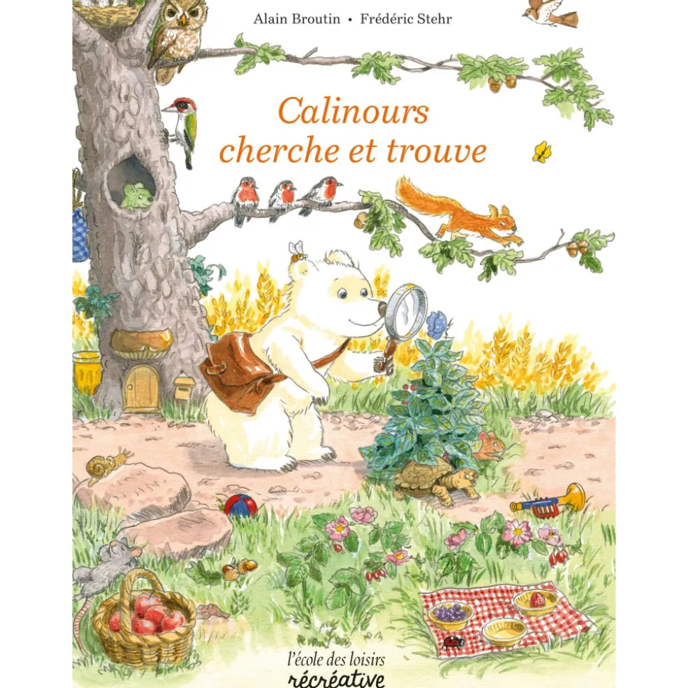 Livre calinours - cherche et trouve