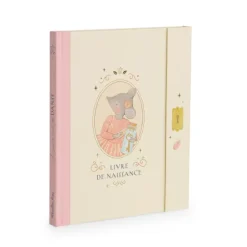Livre de naissance la petite école de danse