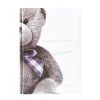 Livre de naissance ourson blanc
