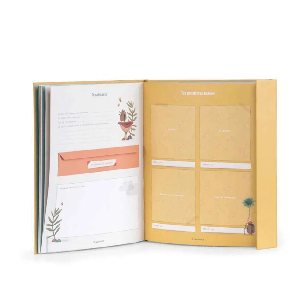 Livre de naissance trois petits lapins