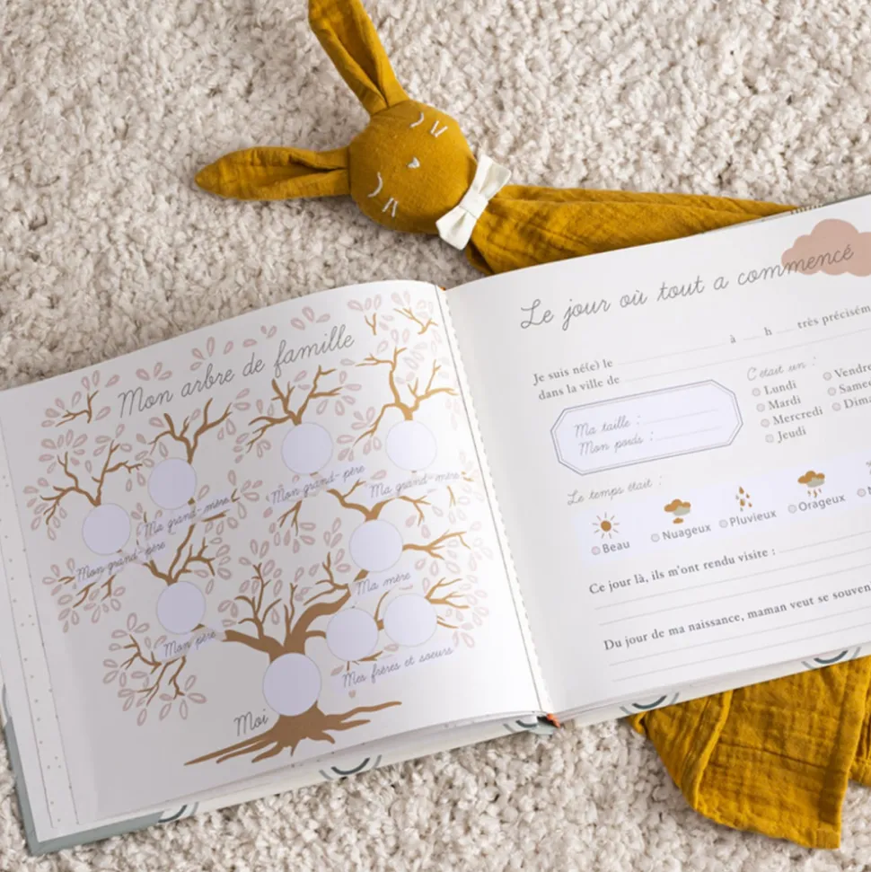 Livre de naissance vert bébé