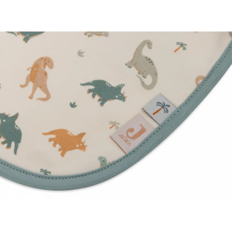 Lot de 5 bavoirs imperméables roarsome