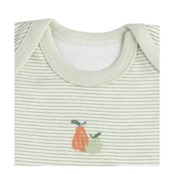 Lot de 3 bodies 3 mois manches courtes botanica