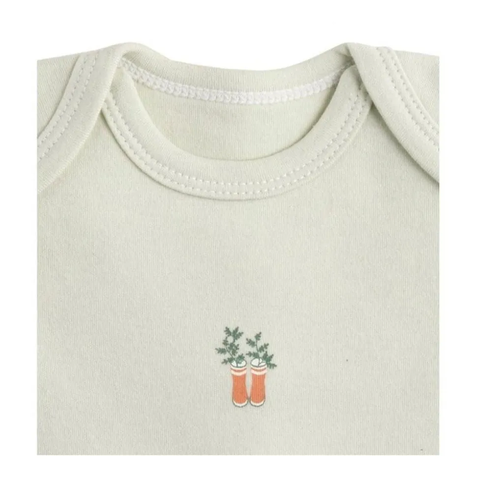 Lot de 3 bodies 3 mois manches courtes botanica