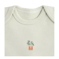 Lot de 3 bodies 6 mois manches courtes botanica