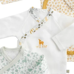 Lot de 3 bodies naissance promenons nous