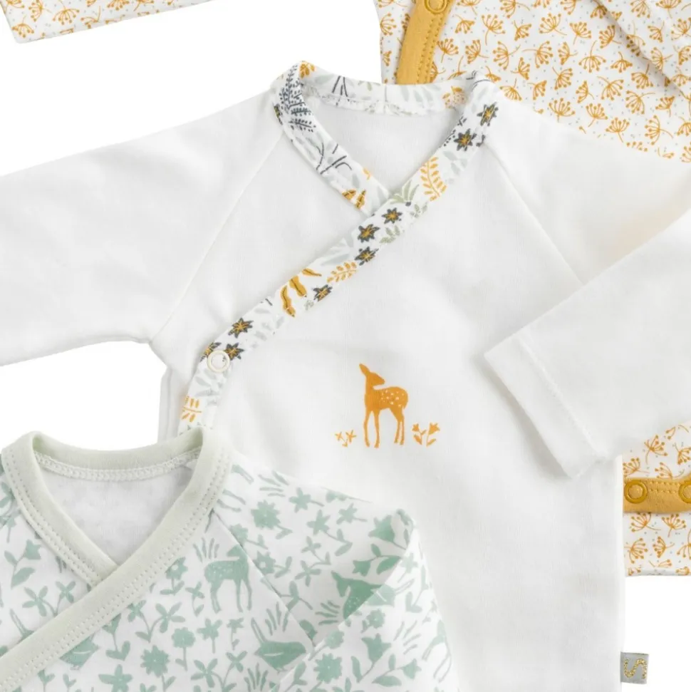 Lot de 3 bodies naissance promenons nous