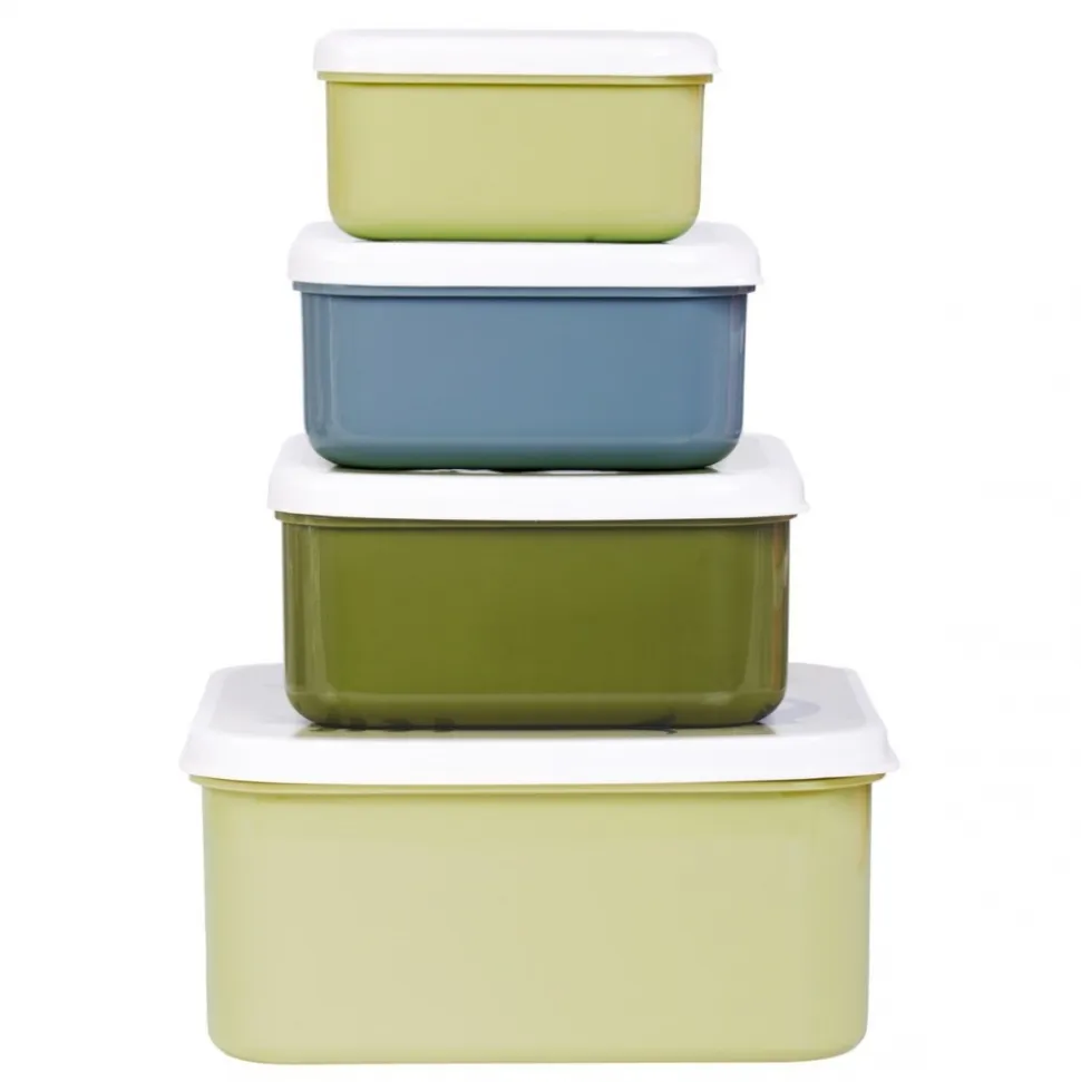 Lot de 4 boîtes à goûter dinosaures