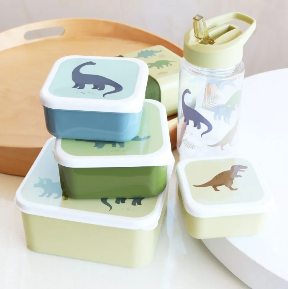 Lot de 4 boîtes à goûter dinosaures