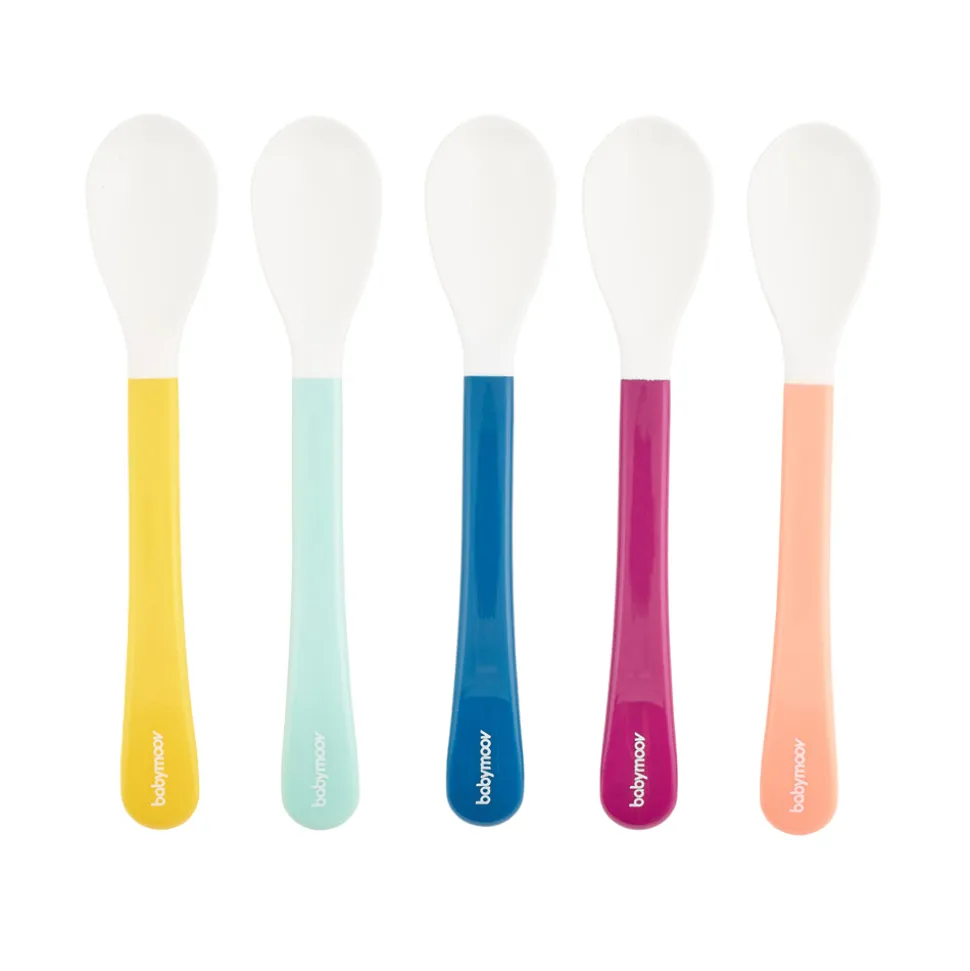 Lot de 5 cuillères 2ème âge multicolores