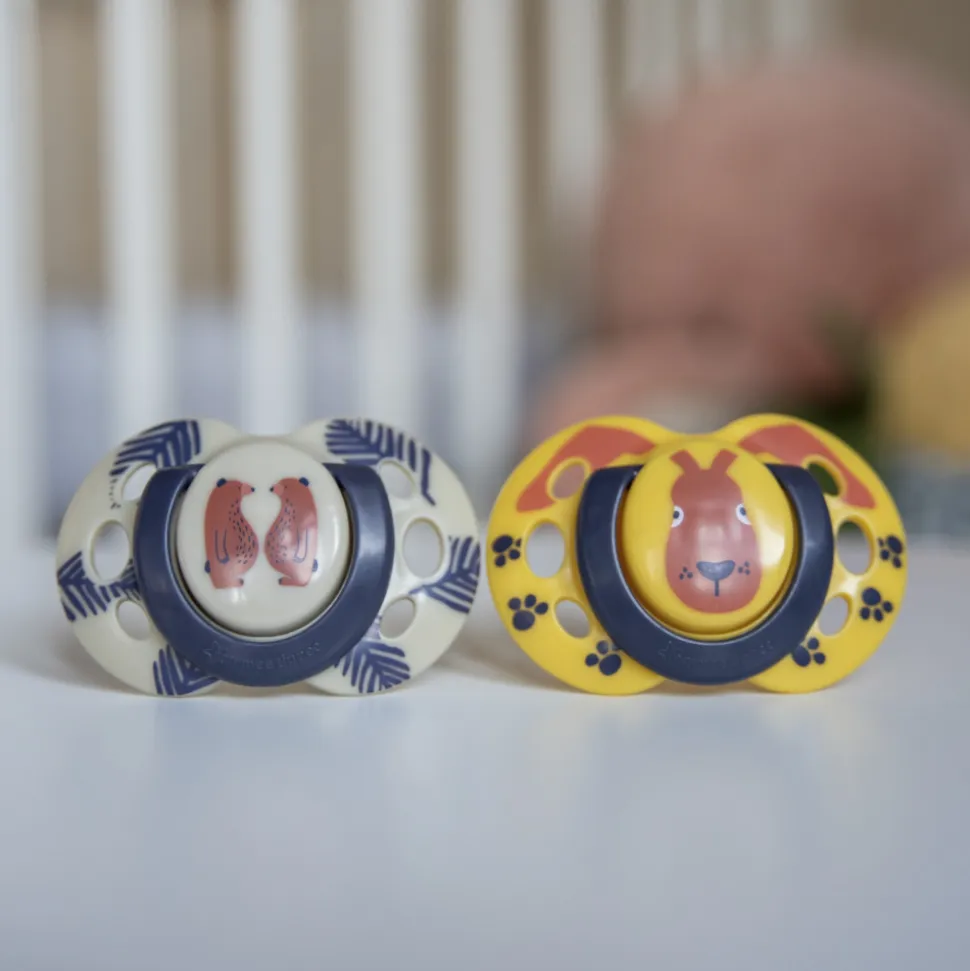 Lot de 2 sucettes closer to nature fun 18-36 mois
