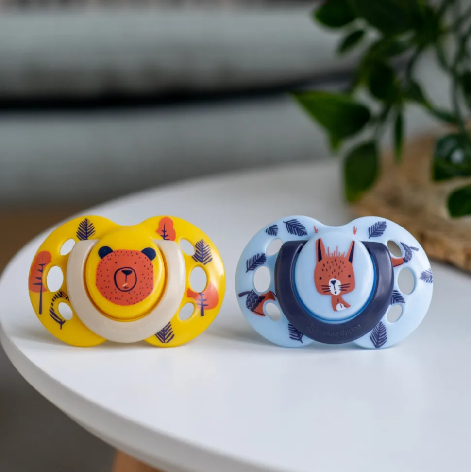 Lot de 2 sucettes closer to nature fun 6-18m