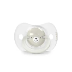 Lot de 2 sucettes symétriques sx pro wild&ampfree 0-6 mois gris