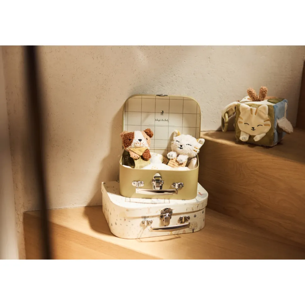 Lot de 2 valisettes à jouets enfant tiny park