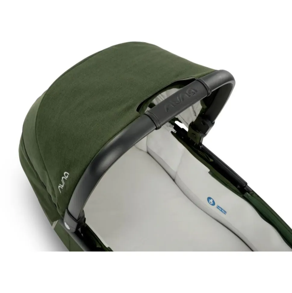 Nacelle demi grow evergreen