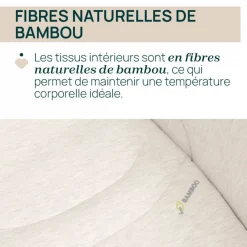 Nacelle flexi lunar rock