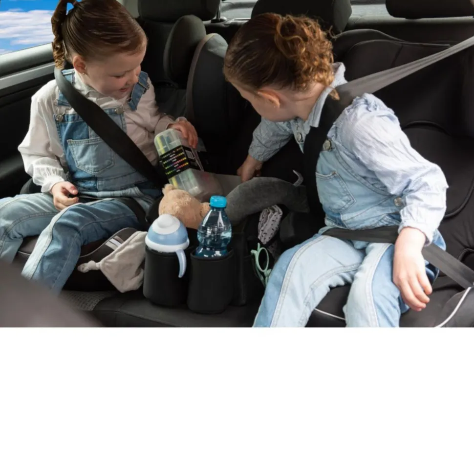Organisateur de voiture pour banquette arrière