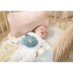 Peluche bouillotte poisson small