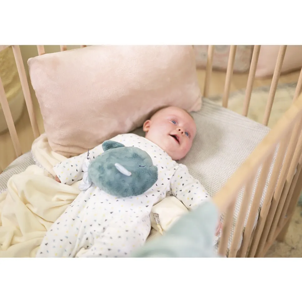 Peluche bouillotte poisson small