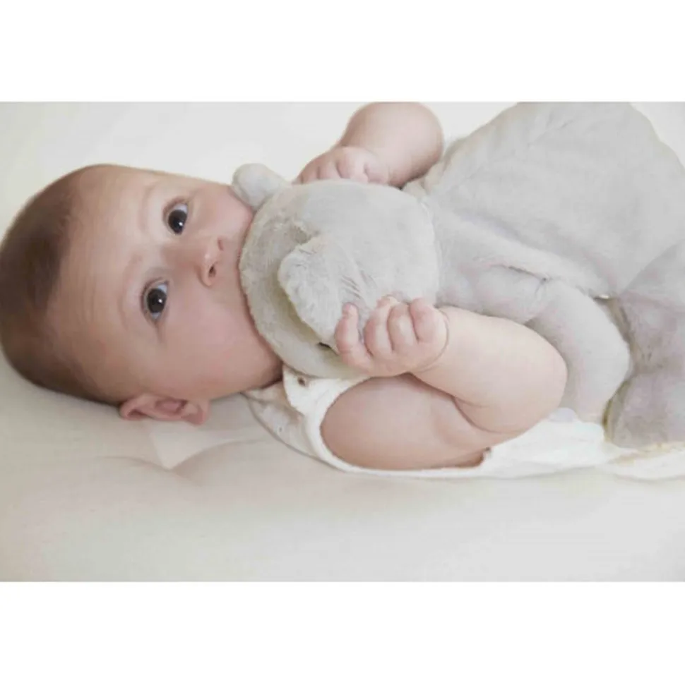 Peluche lestée koala