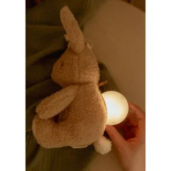 Peluche musicale et lumineuse lapin - newborn