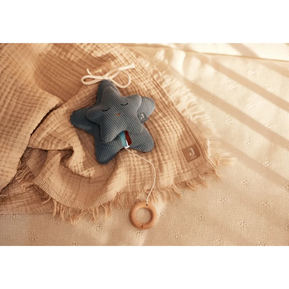 Peluche musicale étoile sea green