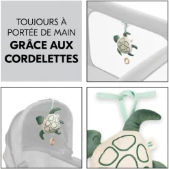 Peluche musicale tortue