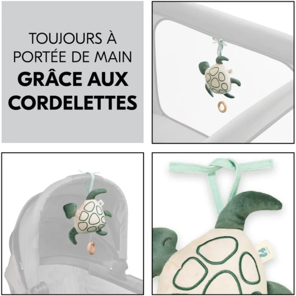 Peluche musicale tortue