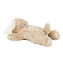Peluche veilleuse bébé projection plafond chien dream buddies