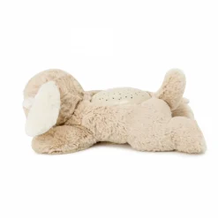 Peluche veilleuse bébé projection plafond chien dream buddies